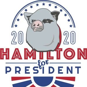 Meet your Posher, Shaun